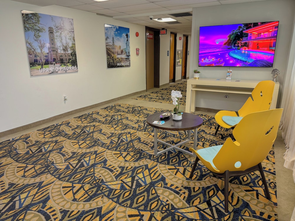 Ficus Hotel - Property Image 2