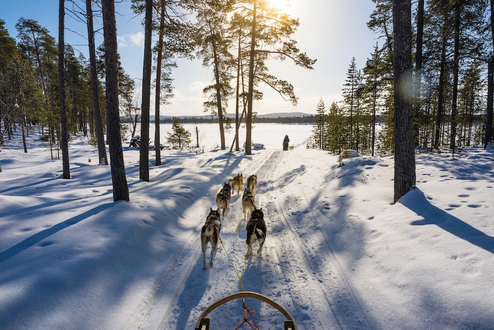 Sielikkö Aurora Log Villas