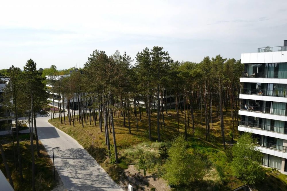 Art Forrest 33 M in Rogowo