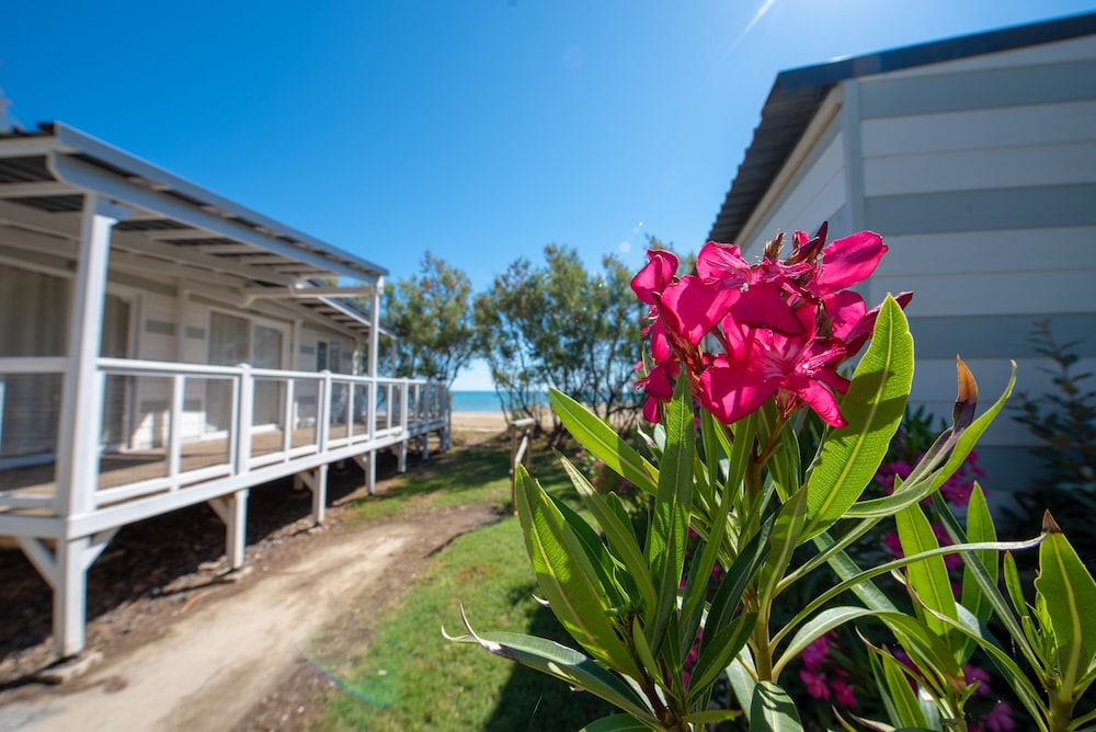 Photo 103