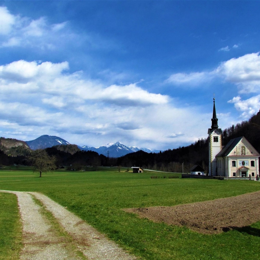 Photo 35