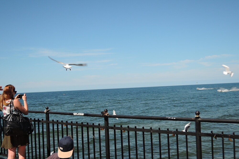 Apartment in Miedzyzdroje With Sea View