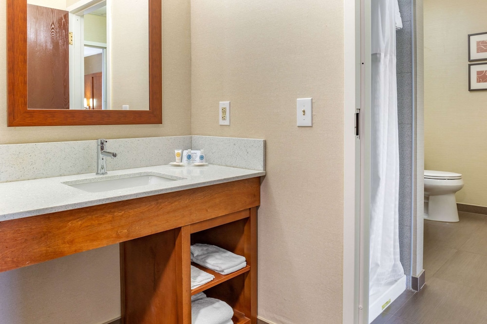 Dover Vacations - Comfort Suites Dover - Property Image 22