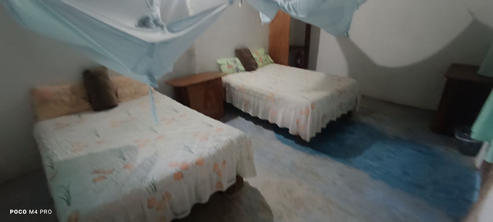 Cabañas Calakmul view 4