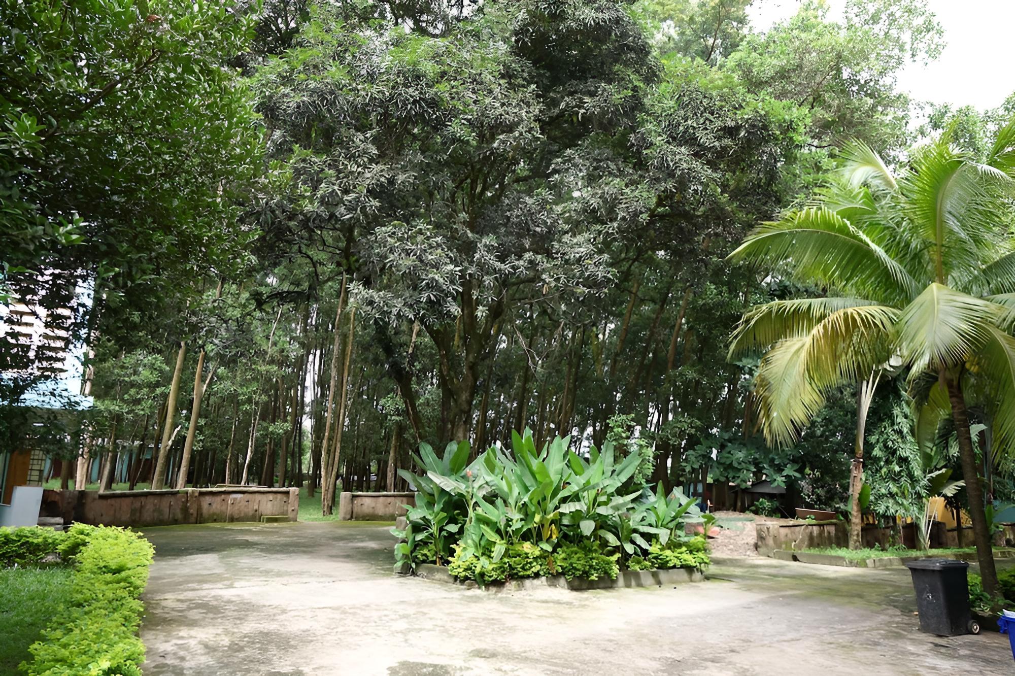 Wusum Hotel