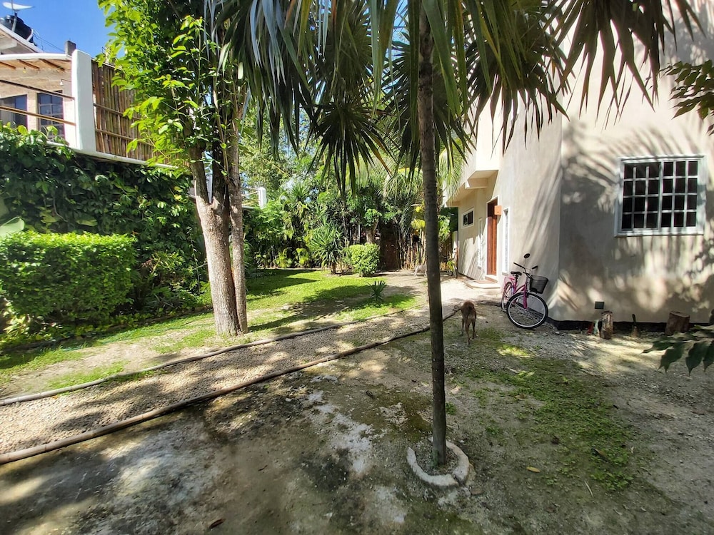 Mini Pini Birdwatching and Cenote Loft4 you Only