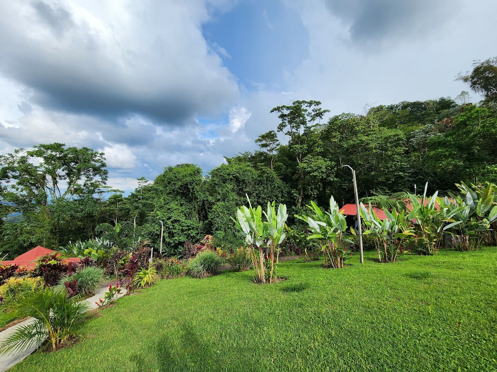 Cabañas Caeli Rainforest Glass Cabin La Perezosa La Fortuna