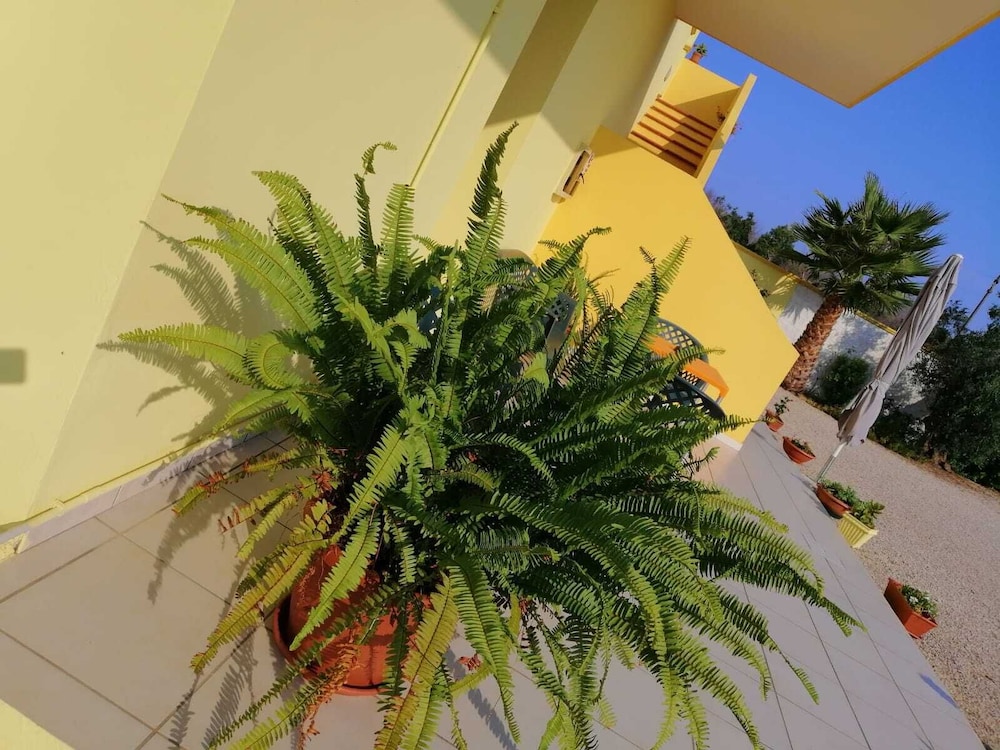 Photo 20