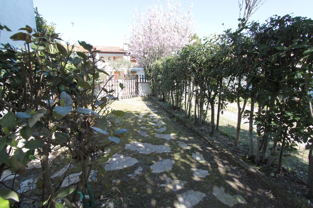 Photo 27