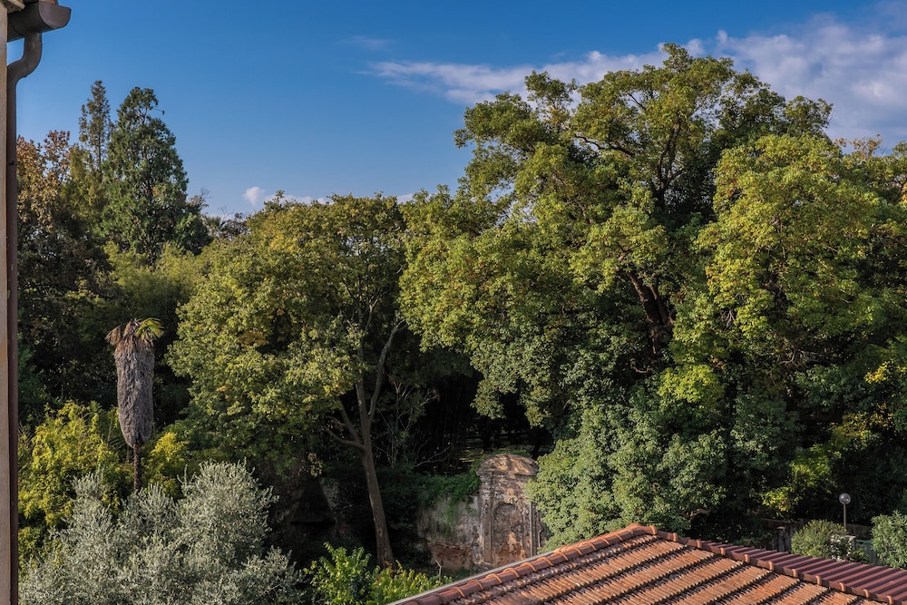 Santa Maria Dreaming Rooftop