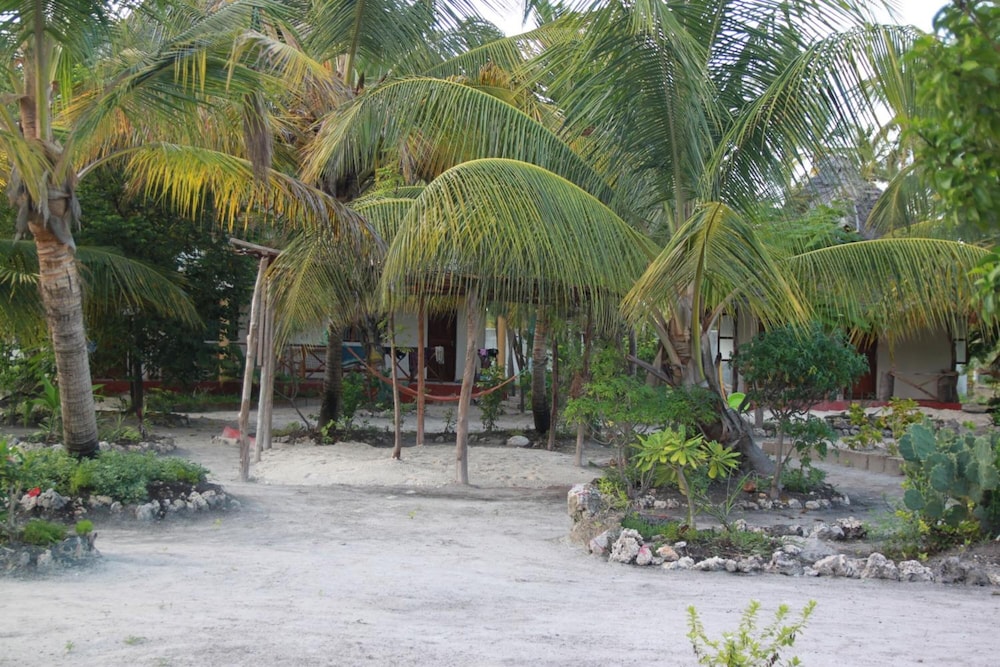 Photo 46