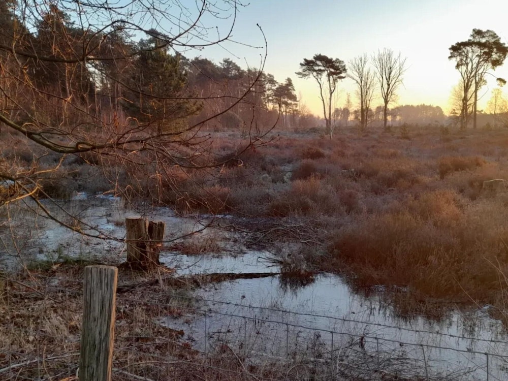 Oud-turnhout Nature Chalet