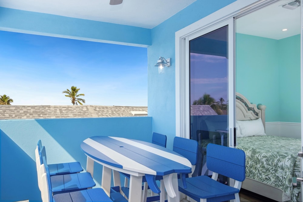 Blue Dolphin View