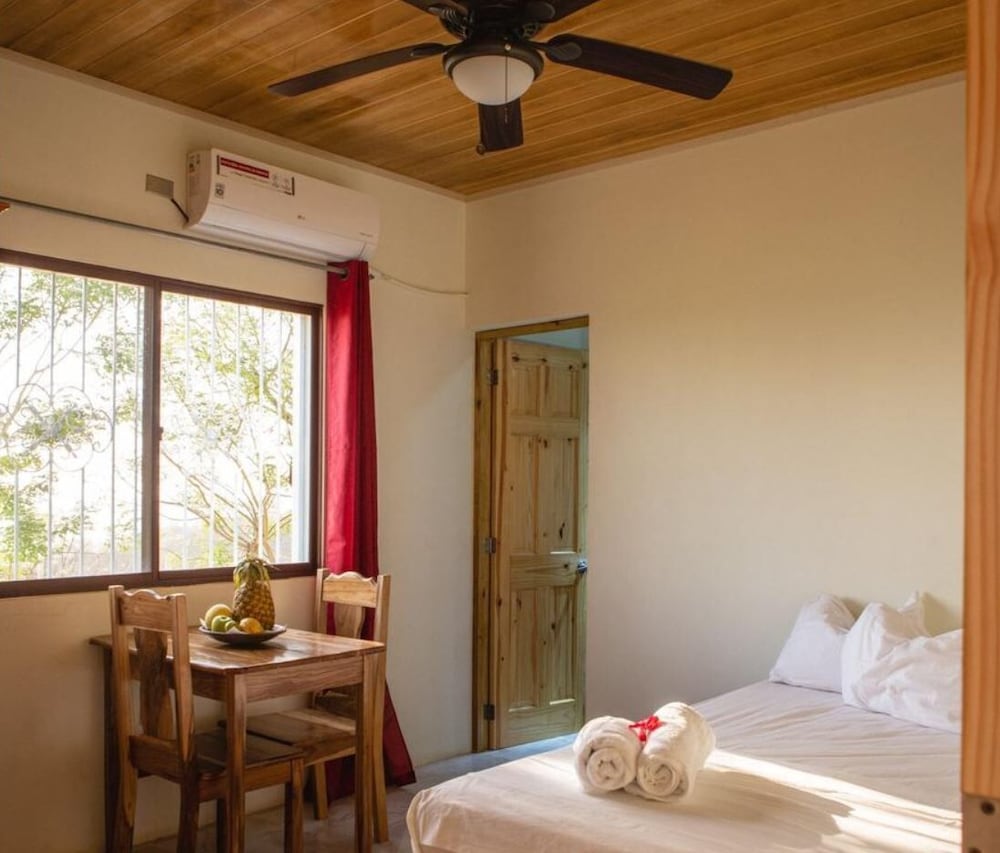 Doctor Surf Guesthouse view 5