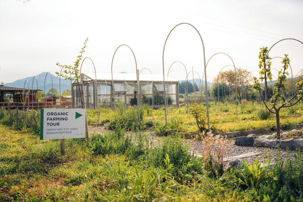 Milea Agritourism