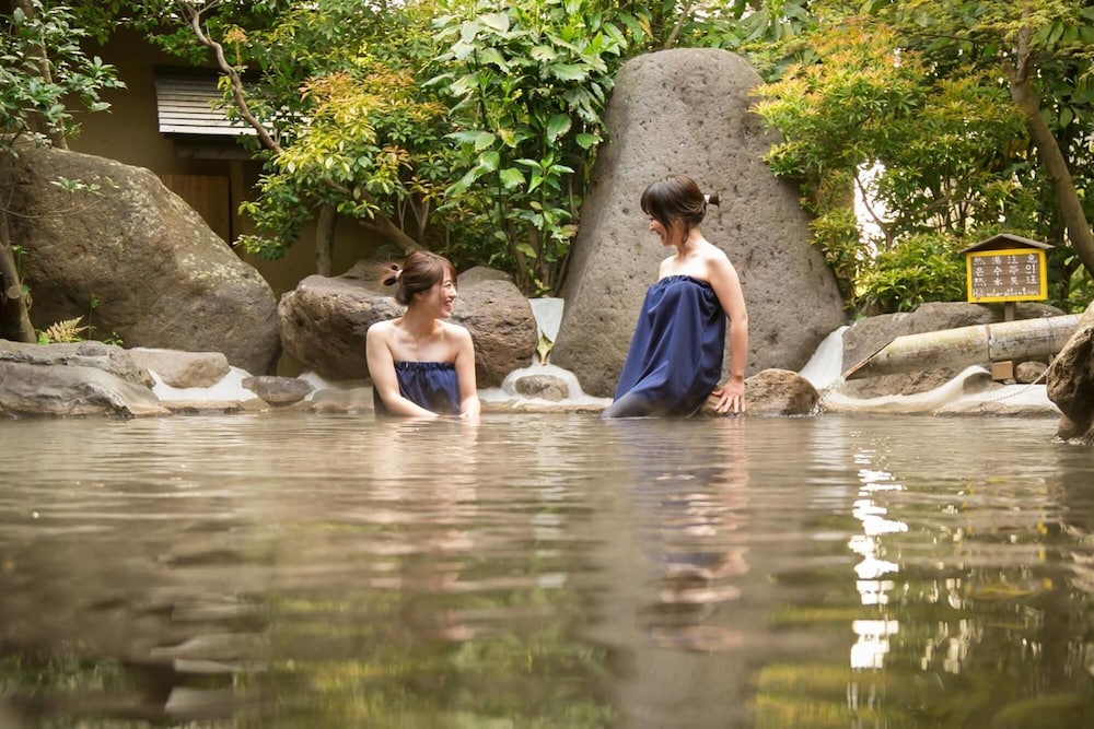 Kurokawa Onsen Yumerindo