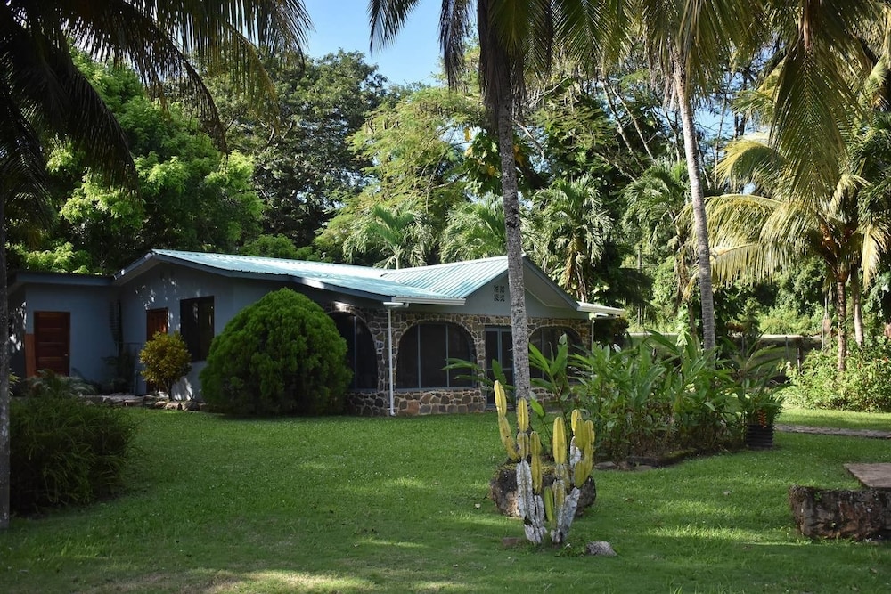 Photo 12