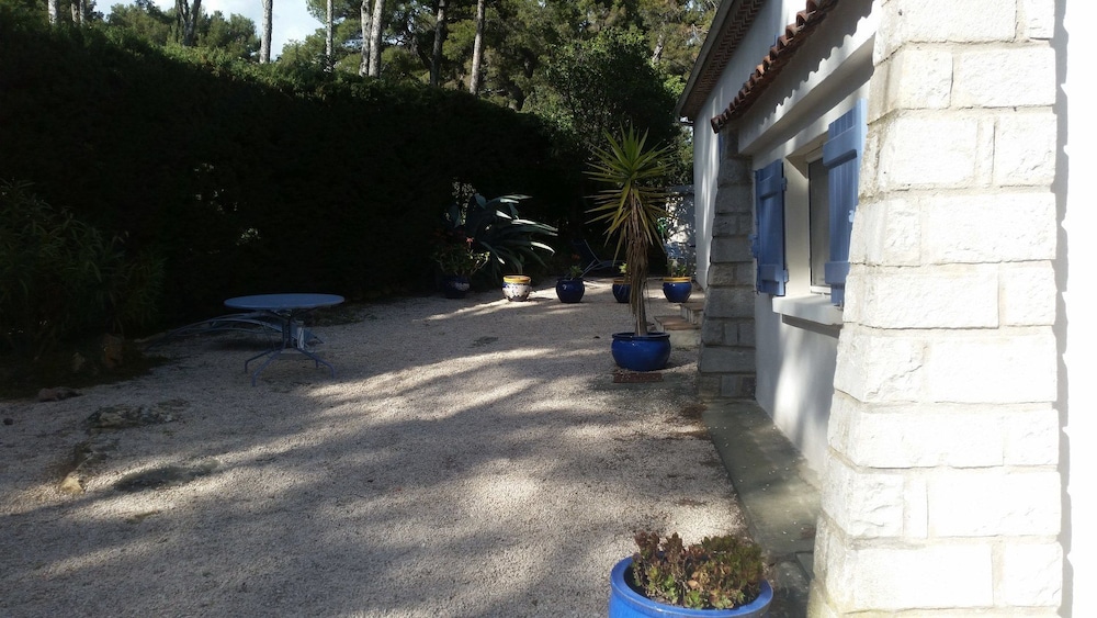Photo 6