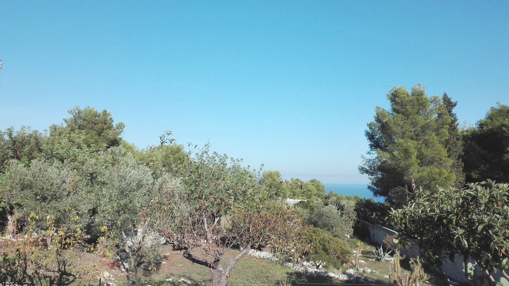 Villa Giulia