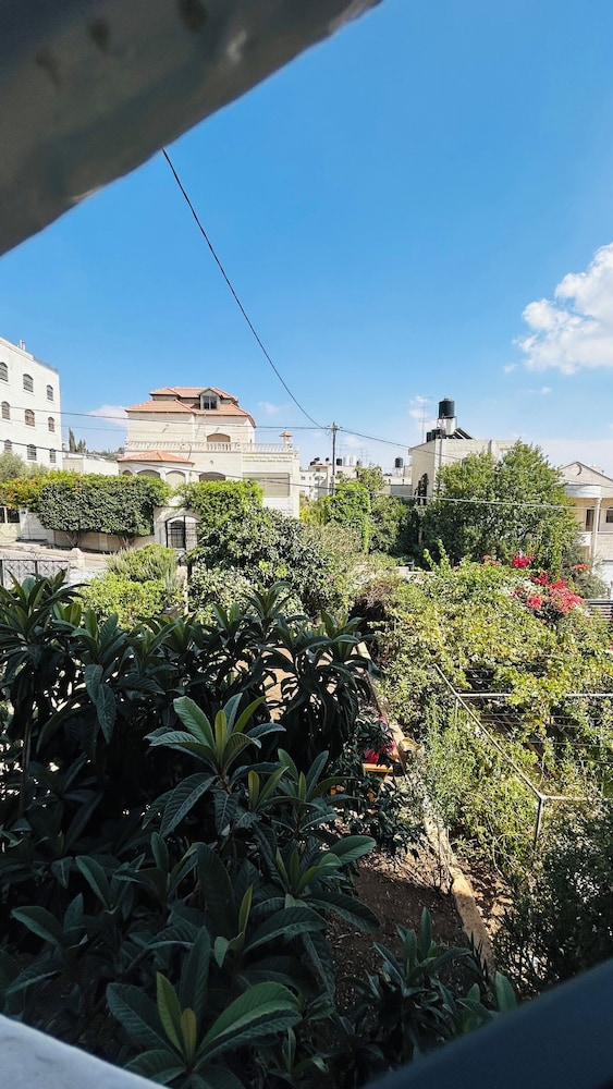 OliveTreeHostel, photo 77