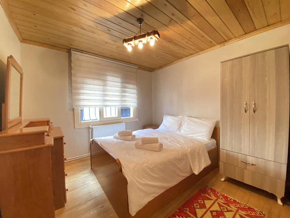 Historical Duplex Villa With Patio in Beyoglu