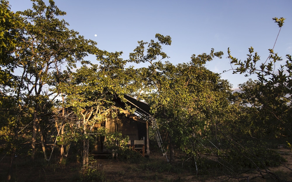 Simbavati Trails Camp view 4