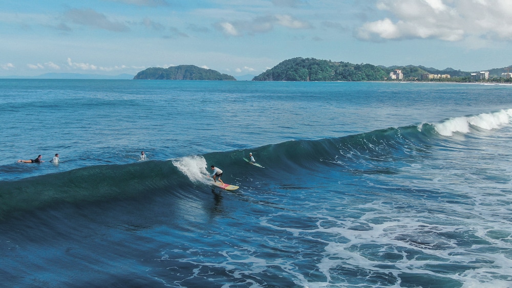 Surf Synergy All-Inclusive Surf Retreat