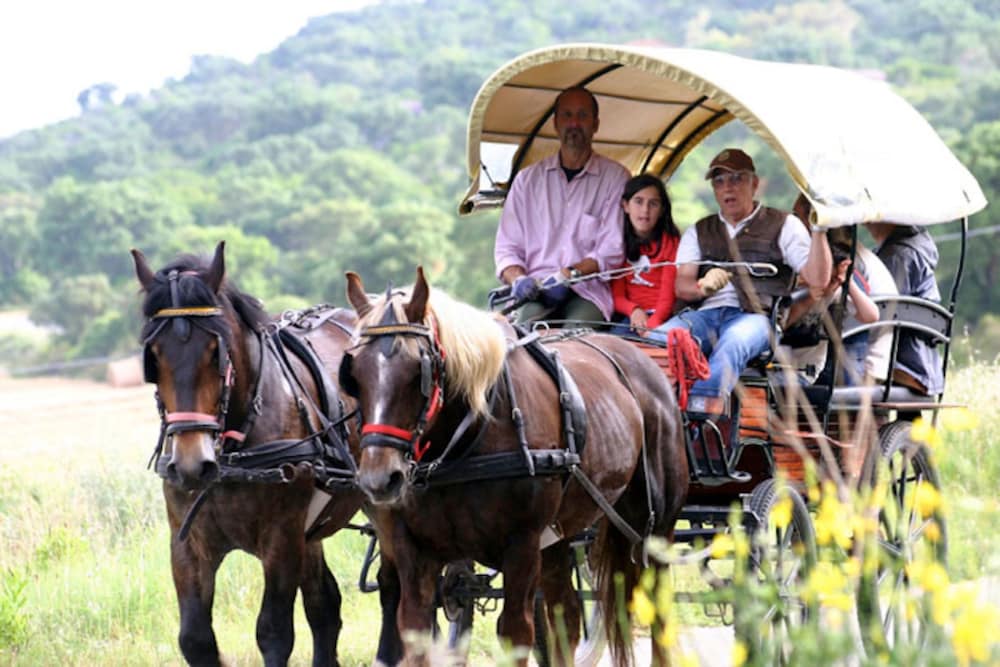 Agriturismo La pulledraia