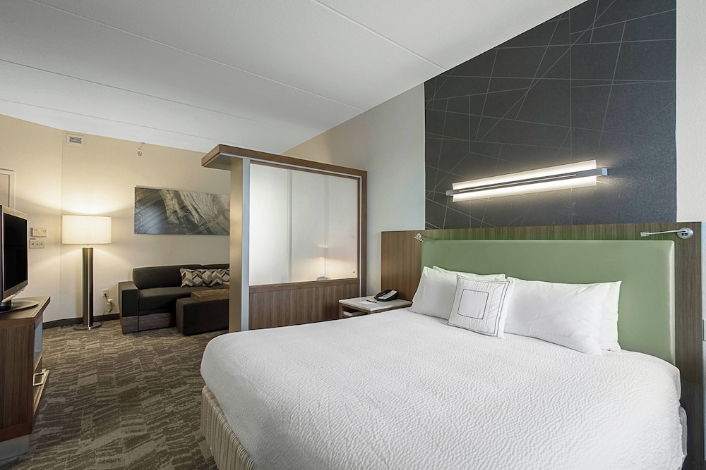 SpringHill Suites by Marriott Tampa North/I 75 Tampa Palms, Foto 18