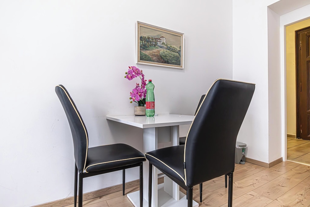 Large 5BR Central Flat Near Augarten