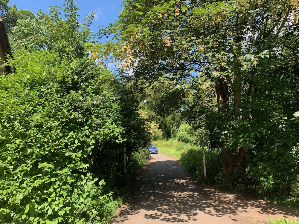 Photo 28