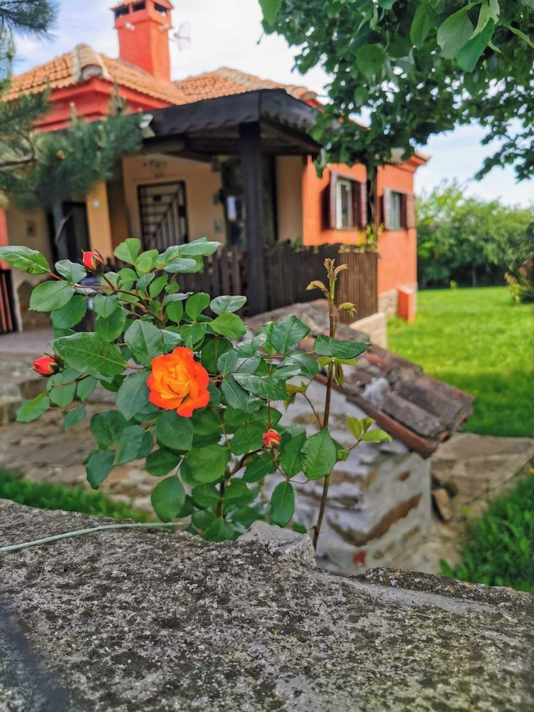Photo 45