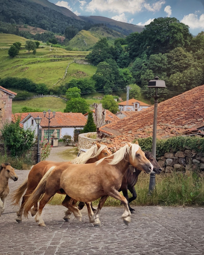Posada La Infinita Rural Boutique