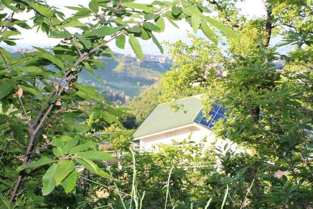 Photo 47