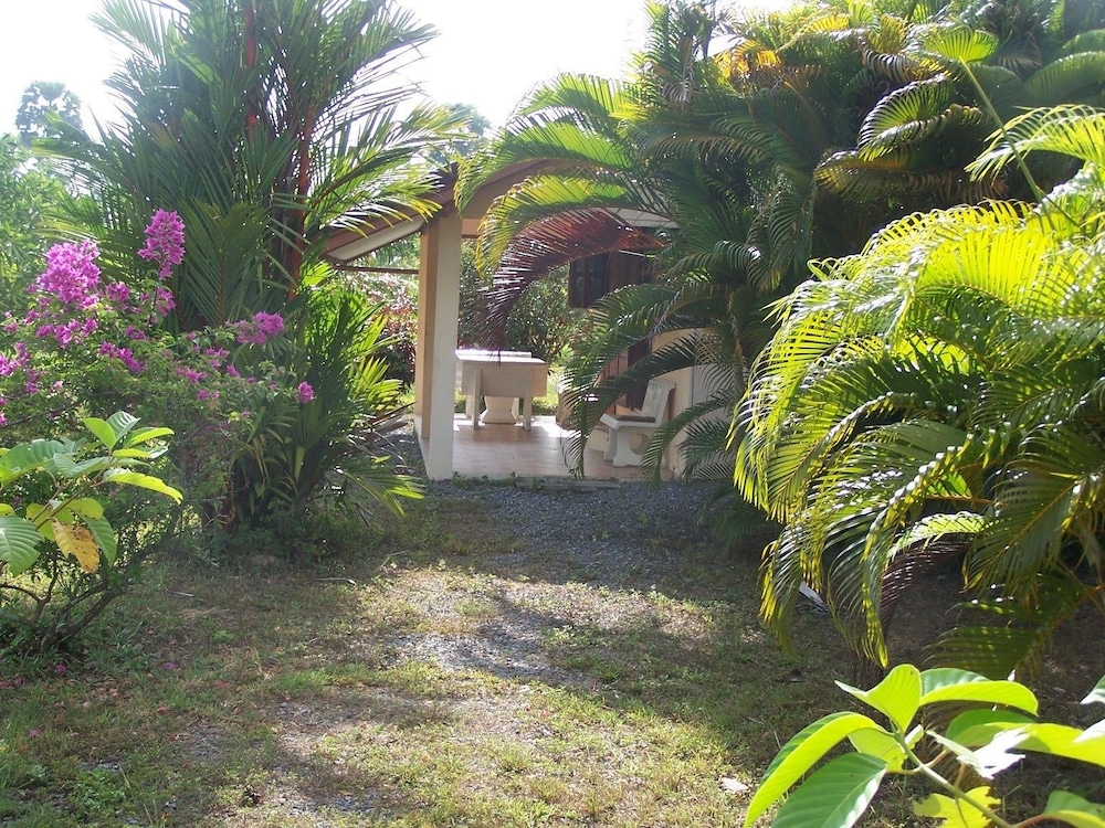 Coconut Valley Bed & Breakfast view 3