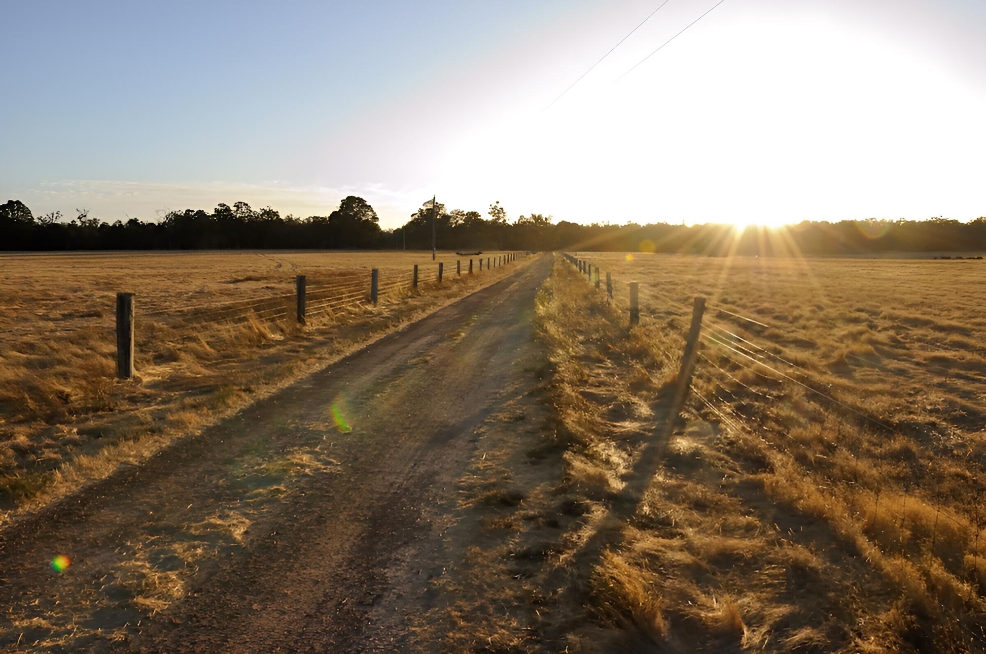 Wilga Farm Stay