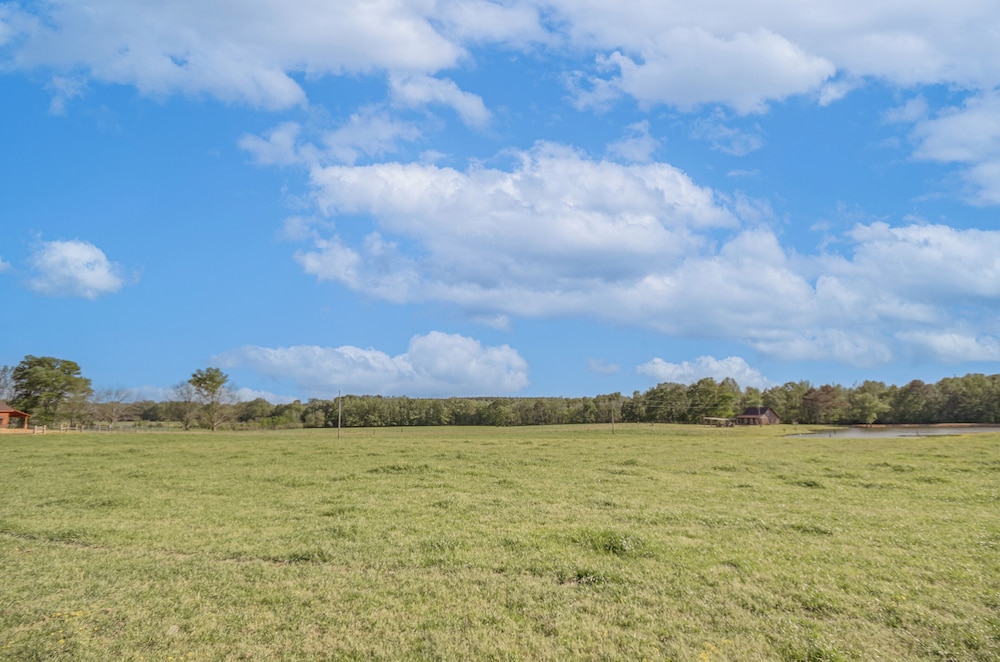 4-acre Plot: Farmhouse-chic Retreat in Forest!