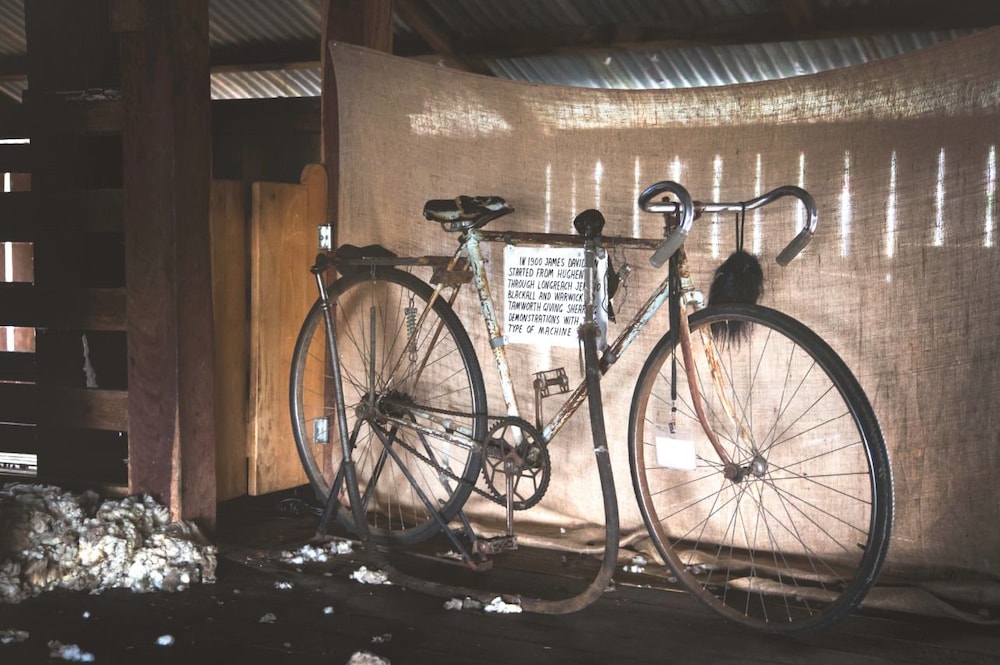 The Woolshed at Jondaryan - Campsite