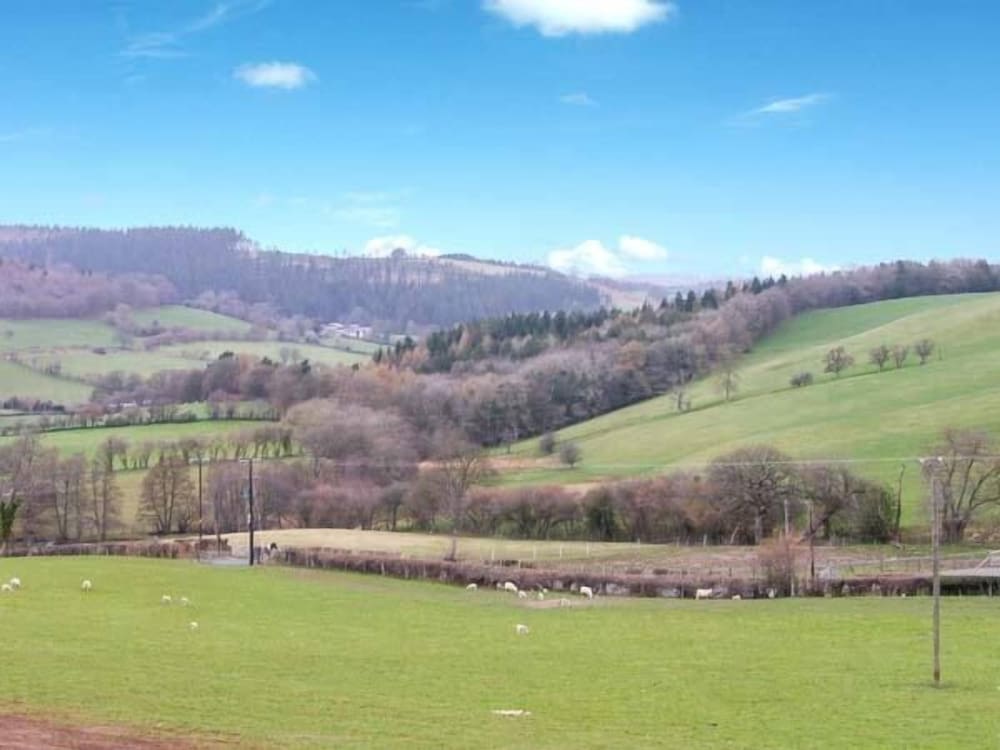 Tyn Y Celyn Canol