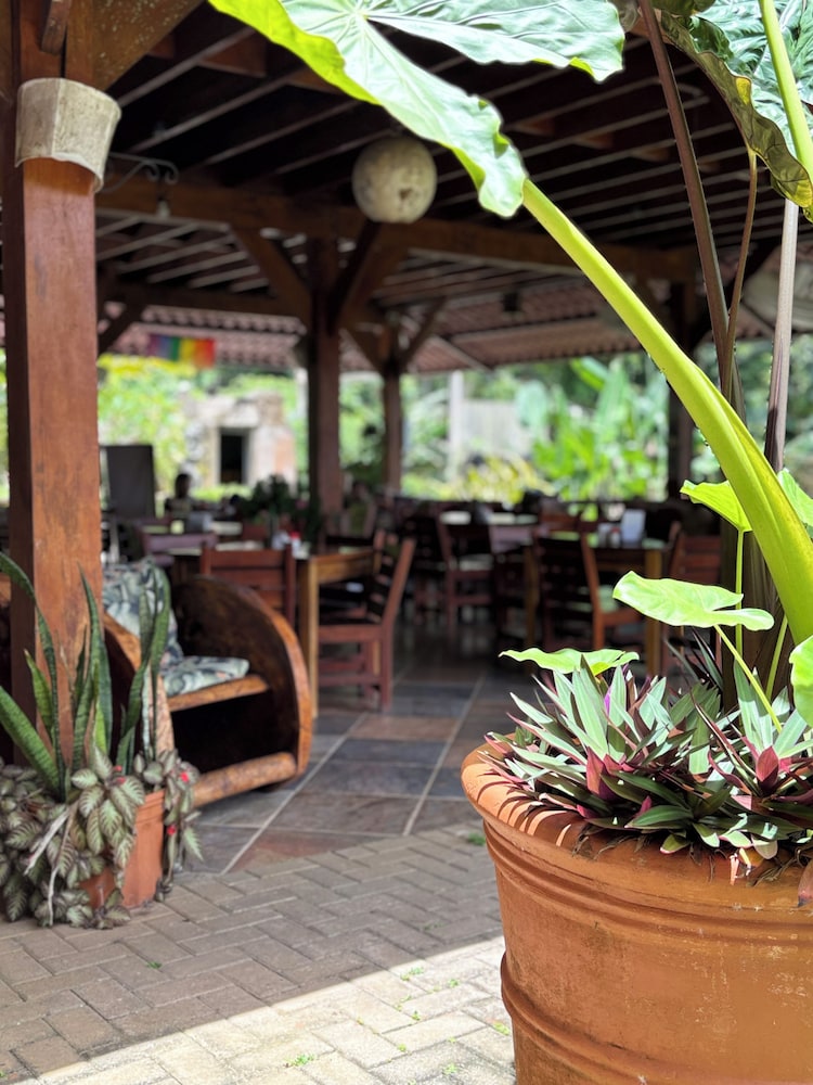 Svastha Yoga & Ayurveda Cafe