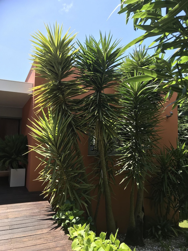 Cascais Casa Laranja