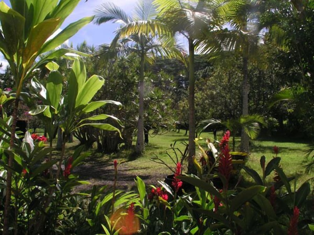 Lava Tree Tropic Inn