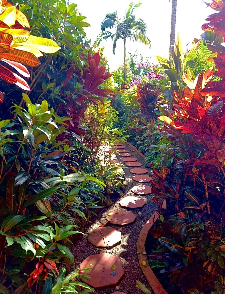 Eden Atenas