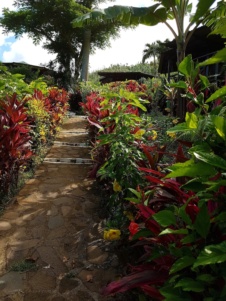 Hibiscus Valley Inn