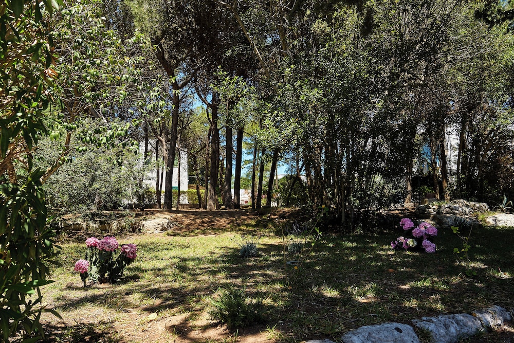 Tenuta Belvedere