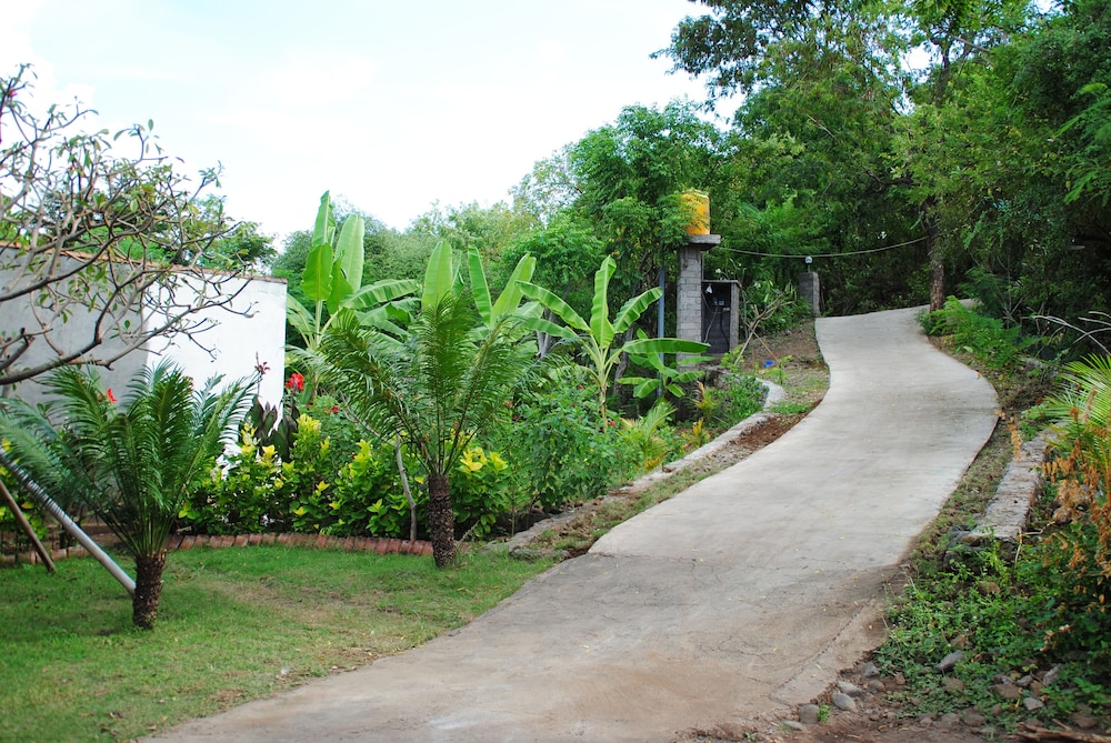 Tiara Homestay Pemuteran