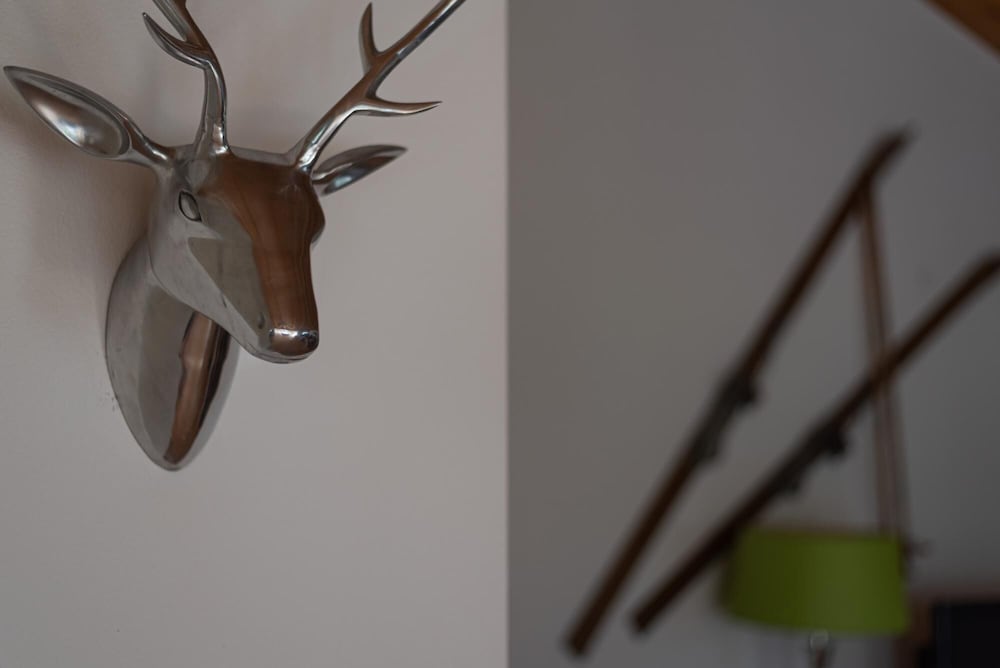 Penthouse Hohe Tauern