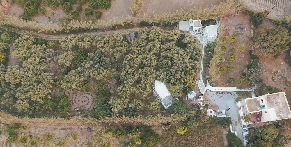 Villa Thimianos photo 4