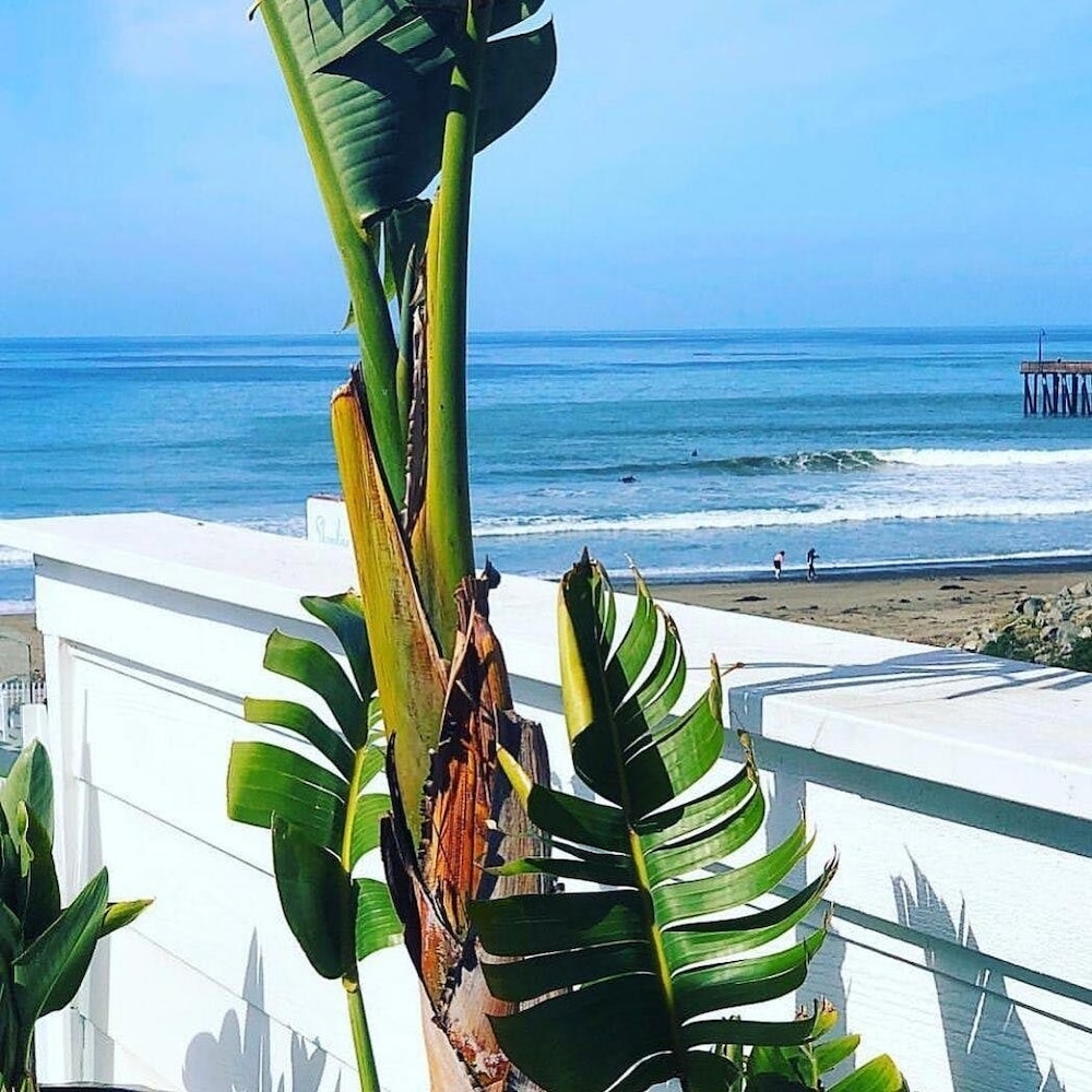 Pier View Suites