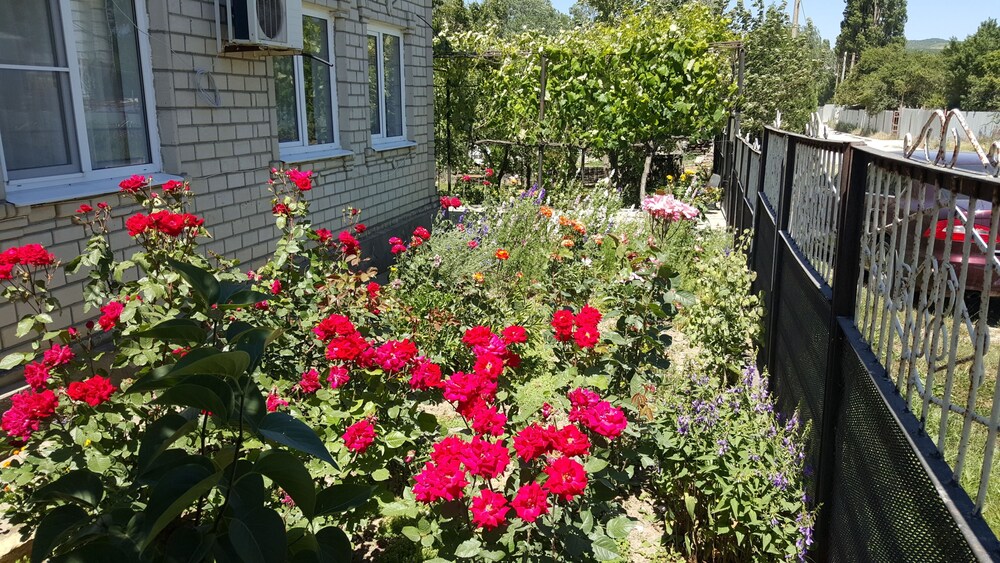 Flowering garden